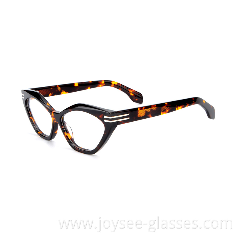 Butterfly Shape Eyeglasses 4